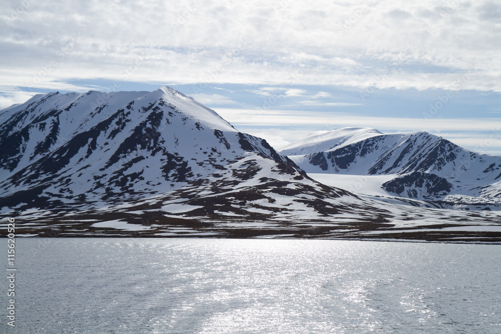 svalbard view of the landscape during the summer season