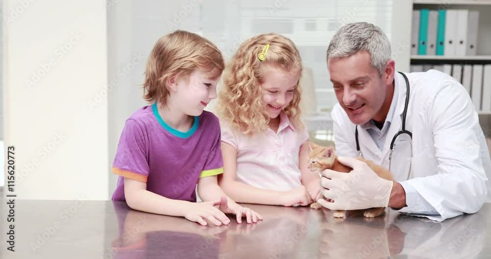 Veterinarian examining a cute cat with its owners in medical office