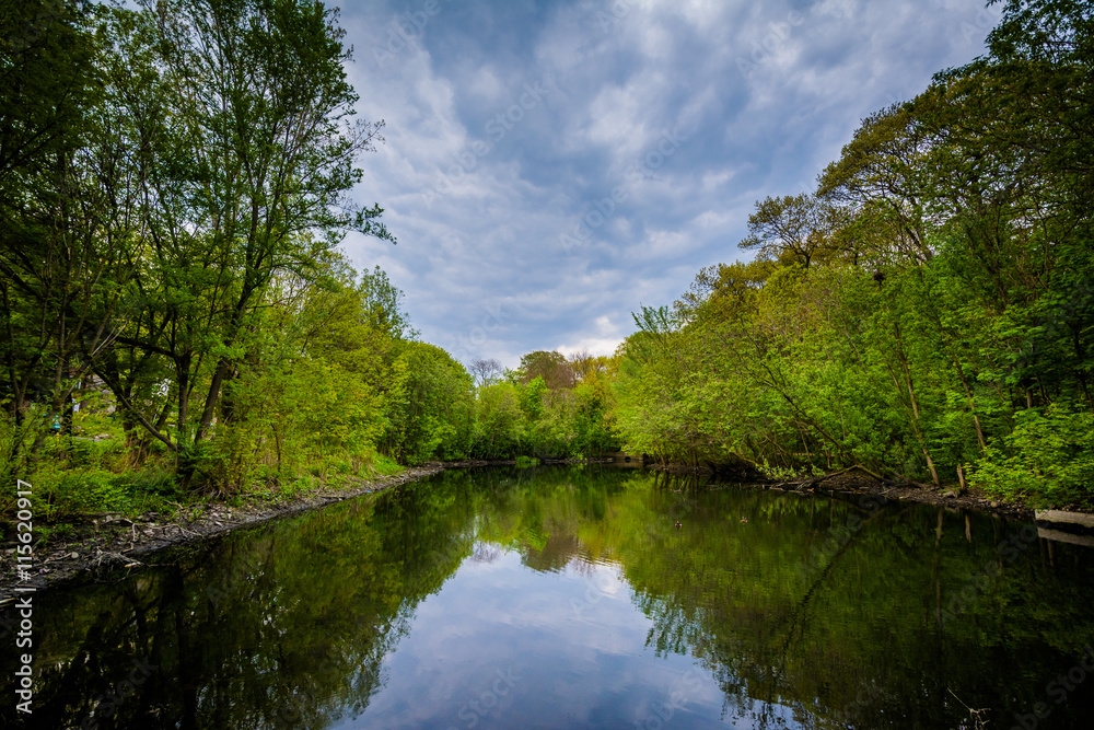 The Wendigo Pond at High Park, in Toronto, Ontario. The Wendigo Pond at High Park, in Toronto, Ontario.