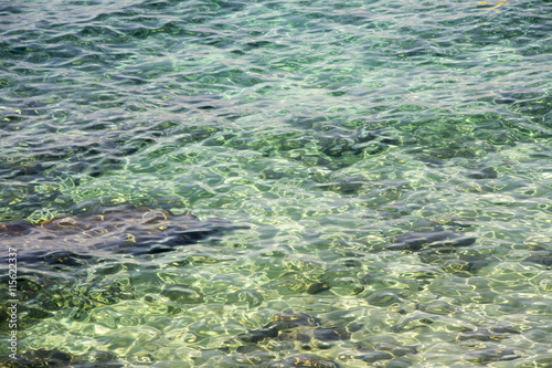 Smooth transparent water near the shore
