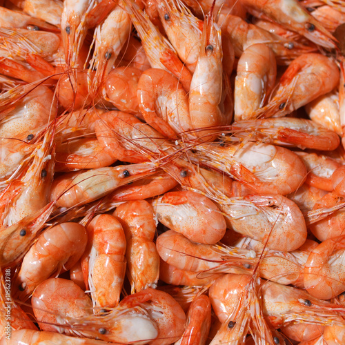 a lot of small boiled shrimp
