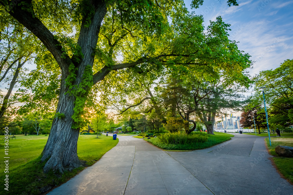 Trees and walkways at Centre Island, in Toronto, Ontario. Trees and walkways at Centre Island, in Toronto, Ontario.