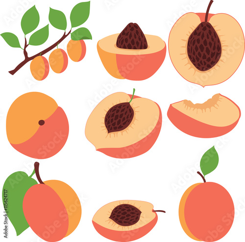 Peach. Set peaches, pieces and slices