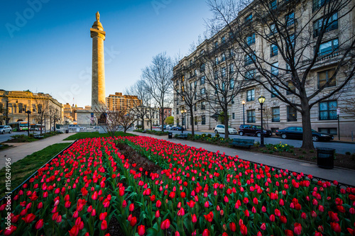 Tulips and the Washington Monument, in Mount Vernon, Baltimore,