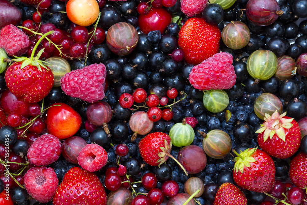 Fototapeta premium berry background with fresh raspberries, blueberries, currants, strawberries, cherries,