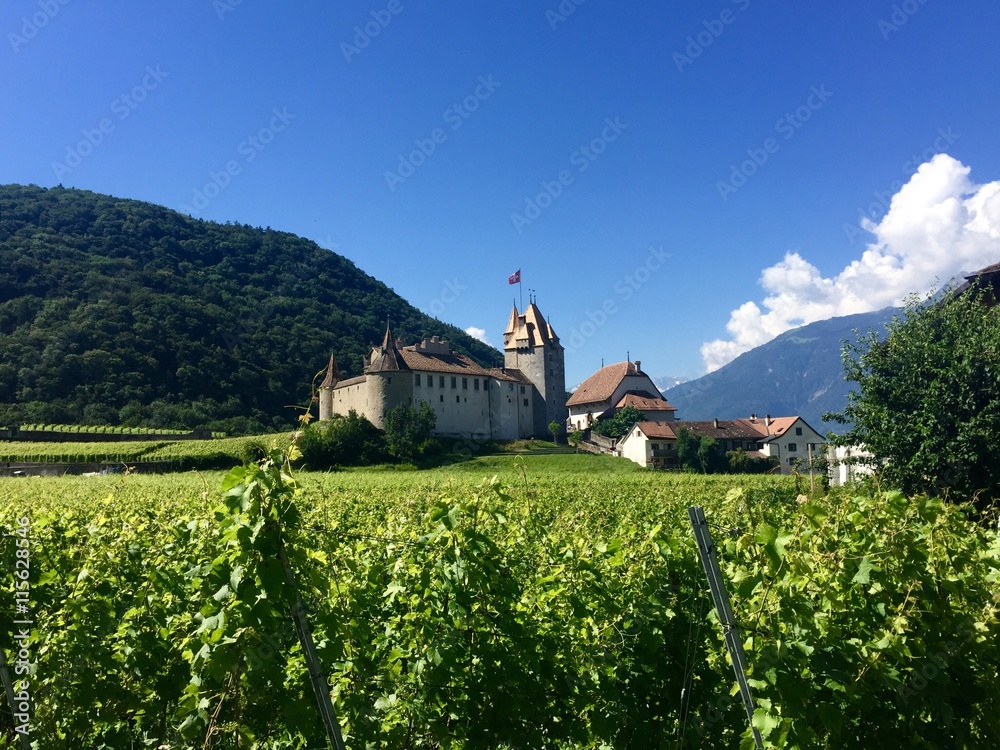 Svizzera, il castello di Aigle - Cantone di Vaud