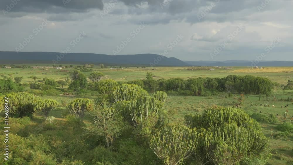 AERIAL: Lush landscape in Africa AERIAL: Lush landscape in Africa