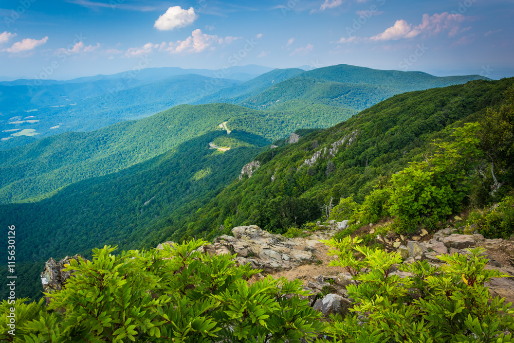 View of the Blue Ridge Mountains from Stony Man Mountain in Shen View of the Blue Ridge Mountains from Stony Man Mountain in Shen