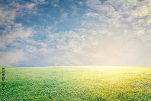 The beautiful landscap field grass and sky vintage