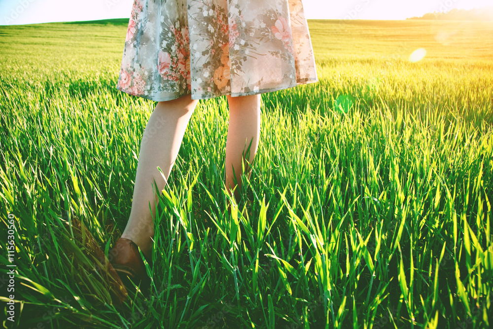girls legs walking in field in morning sun light girls legs walking in field in morning sun light