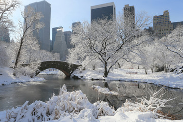 Canvas schilderij Central Park Besneeuwd Central Park in winter  © EarthScape
