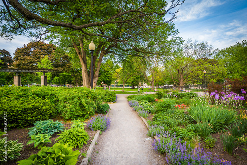 Photography Walkway and gardens at the Allan Gardens, in the Garden District