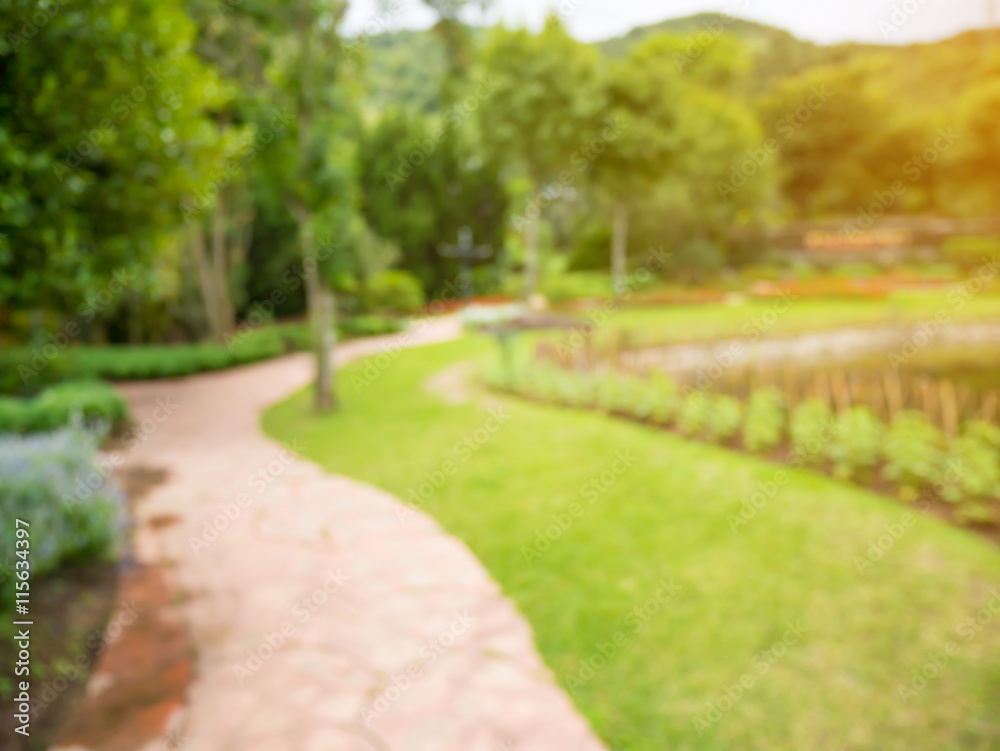 Obraz premium Walkway in the flowers garden blur background