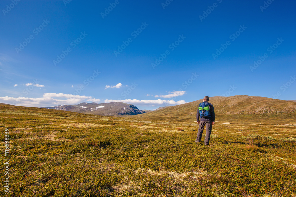 Fototapeta premium hiker with backpack traveling in Norway mountains Dovrefjell