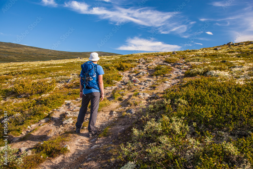 hiker with backpack traveling in Norway mountains Dovre