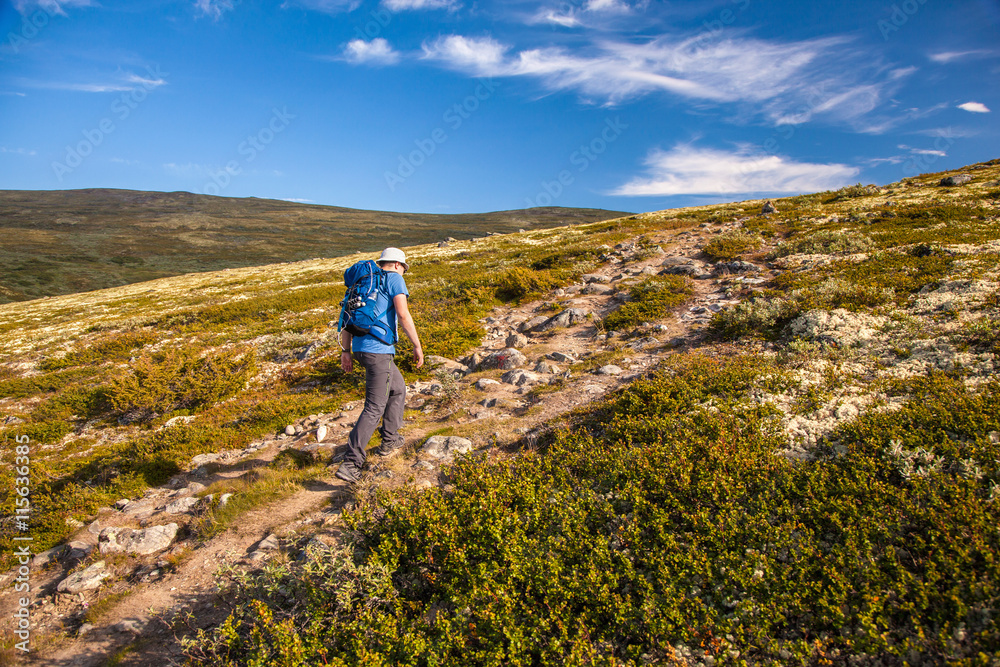 hiker with backpack traveling in Norway mountains Dovre