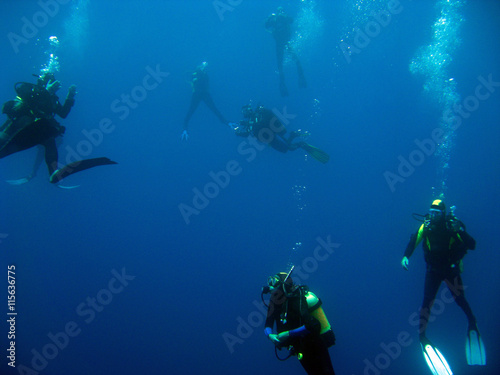 Scuba divers in the ocean