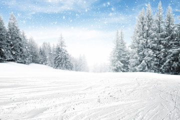 winter time 