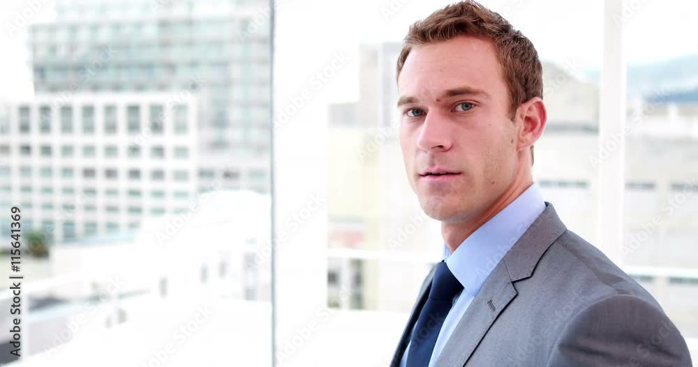 Handsome businessman smiling at camera in his office Handsome businessman smiling at camera in his office