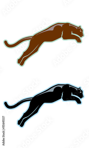 panther