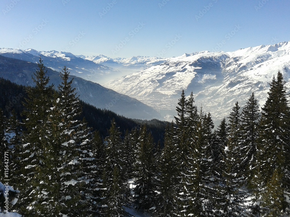 Italian alps and pines covered in snow in winter, La Thuile