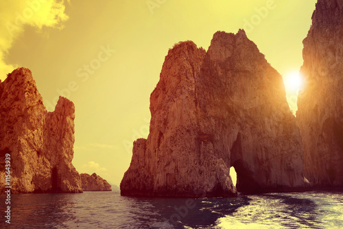 Εκτύπωση καμβά Faraglioni Cliffs in Capri - Italy, Europe