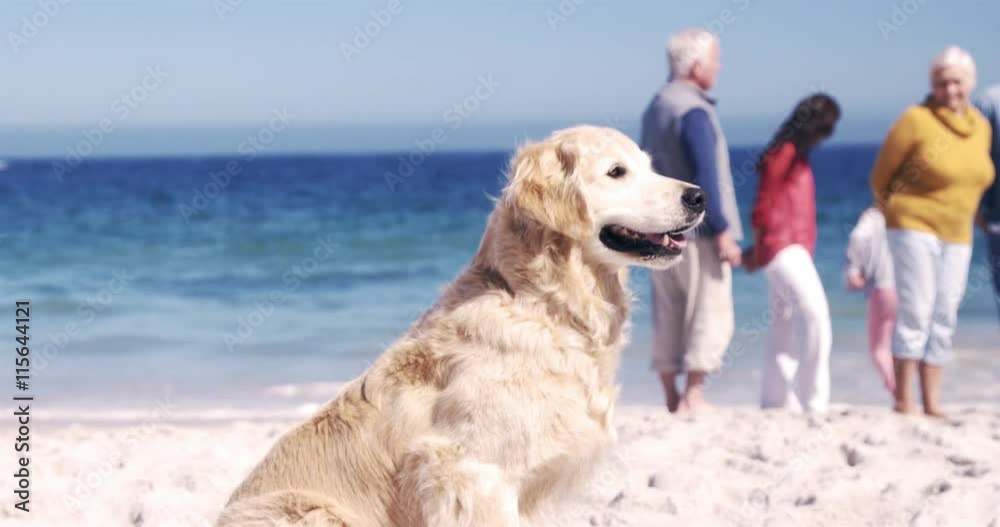Three generations family standing together on the beach Three generations family standing together on the beach