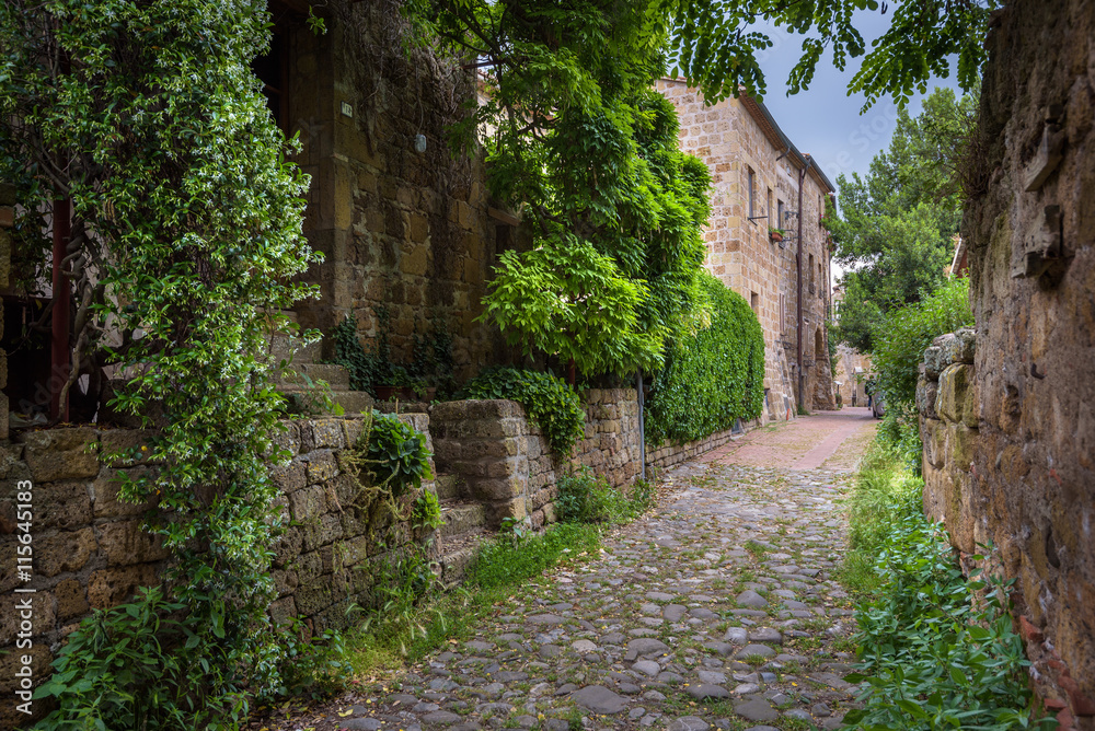 Flower filled streets of the old Italian city in Tuscany. Flower filled streets of the old Italian city in Tuscany.