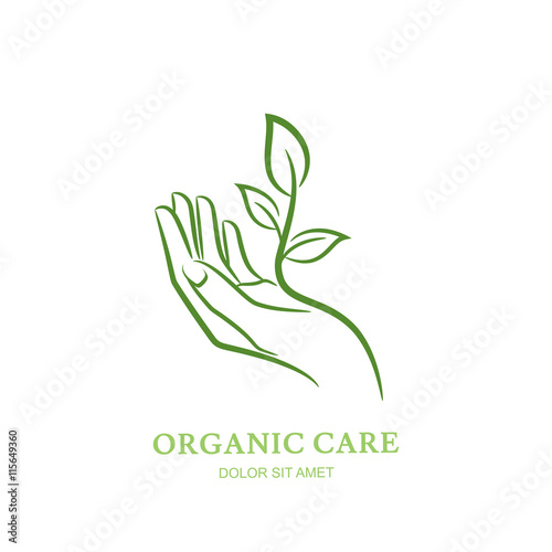 Womens hand with green plant and leaves. Vector logo, label, emblem design elements. Abstract concept for beauty salon, manicure, cosmetic, organic care and spa. Female elegant hand silhouette. 