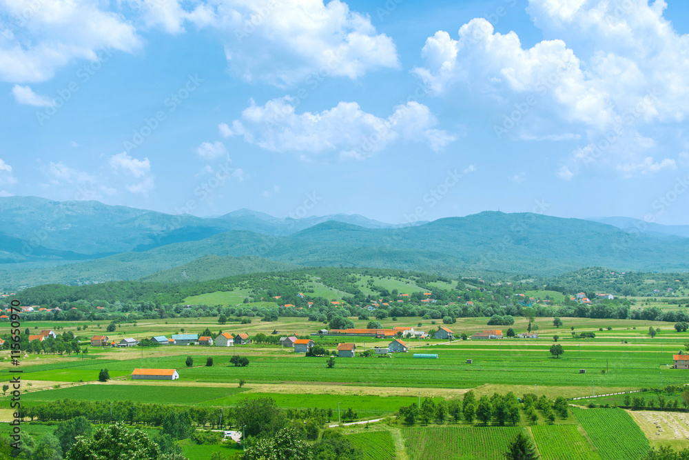 Summer landscape with green blossom fields in small mountain village