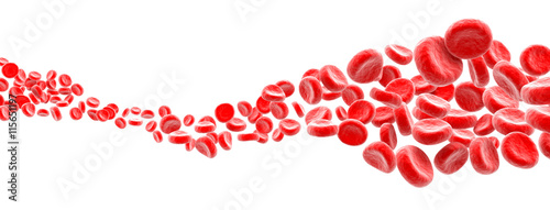 Blood cells wave on white background