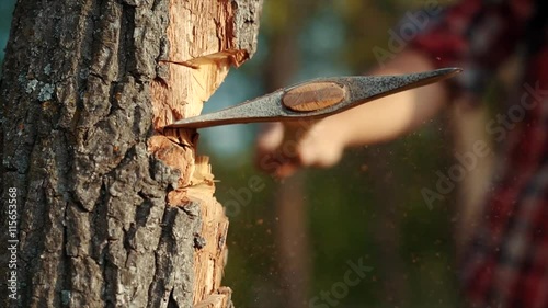 Axe in a tree on a green background