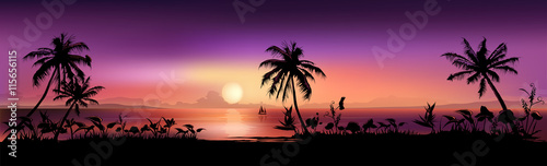 Tropical Sunset Background