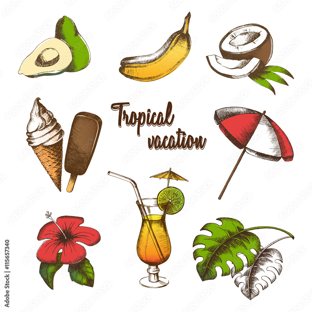 Vector set of objects for a tropical vacation. Summer fruit, cocktail, ice  cream, tropical flower, palm leaf, parasol painted in graphic style.  Multicolor freehand drawing. Stock Vector | Adobe Stock
