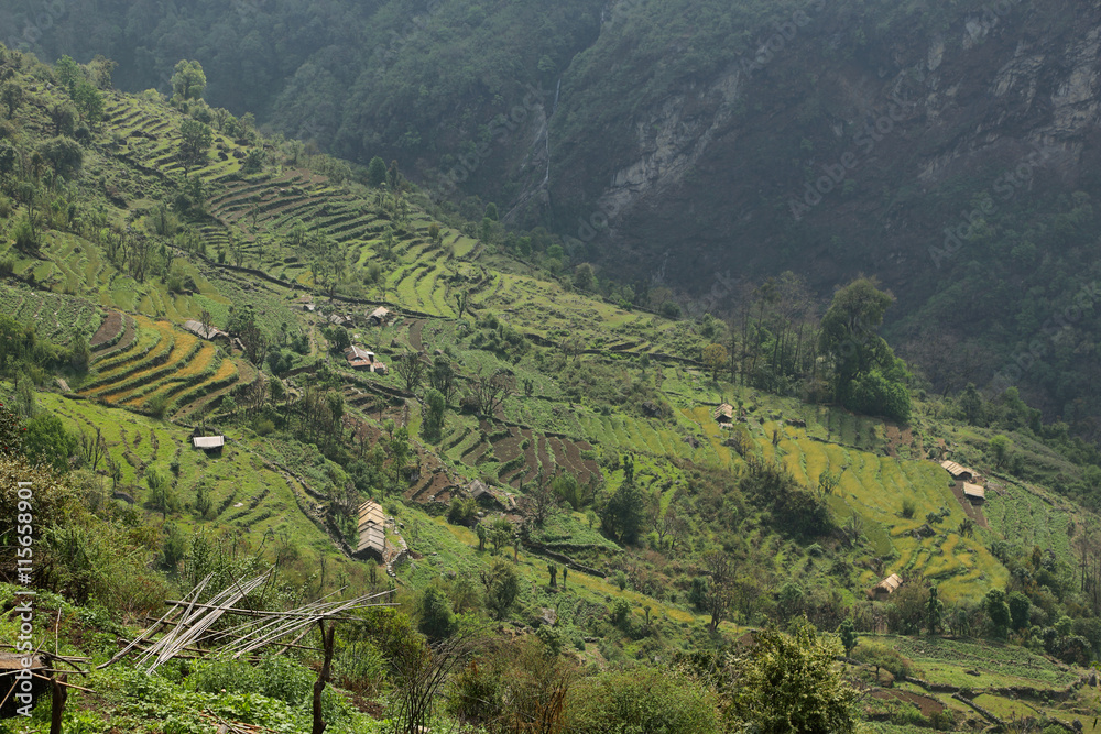 Fields and small wooden houses in Nepal