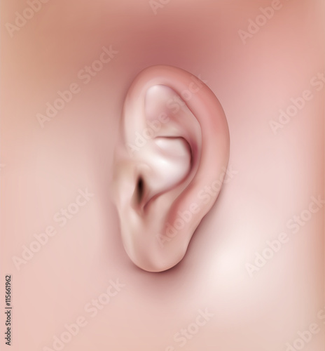 vector background with realistic ear