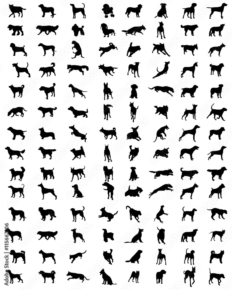 Black silhouettes of different breeds of dogs, vector