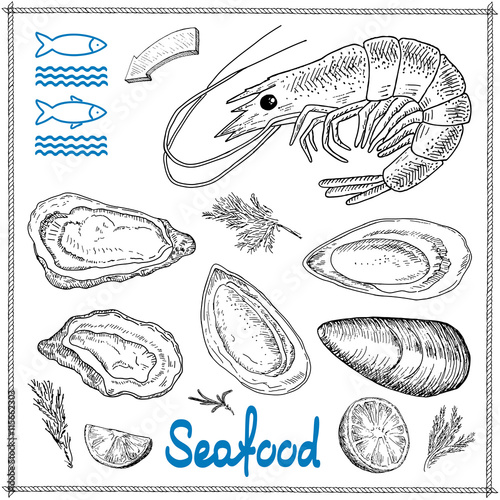 Hand drawn seafood