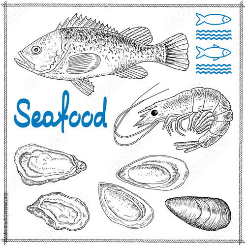 Hand drawn seafood