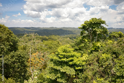 Landscape views form the top of one the Caana pyramid at Caracol archaeological site of Maya civilization in Belize. Central America