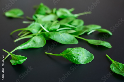 Green spinach leaves on a black background