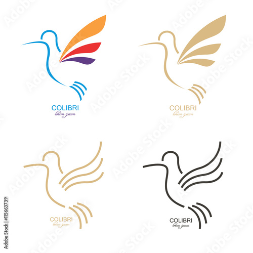 colibri mark. Abstract bird illustration.