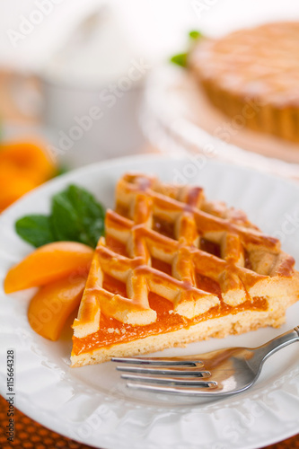 Modern new recipe apricot peach tart pie holiday snack treat served on a plate