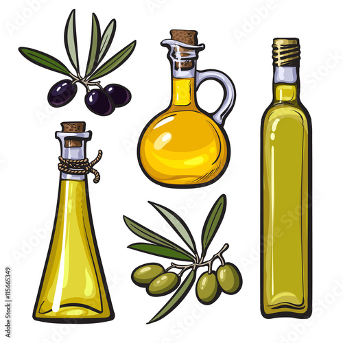 Set of olive oil bottles with black and green olives isolated sketch style vector illustration on white background. Set of beautiful realistic traditional oil bottles