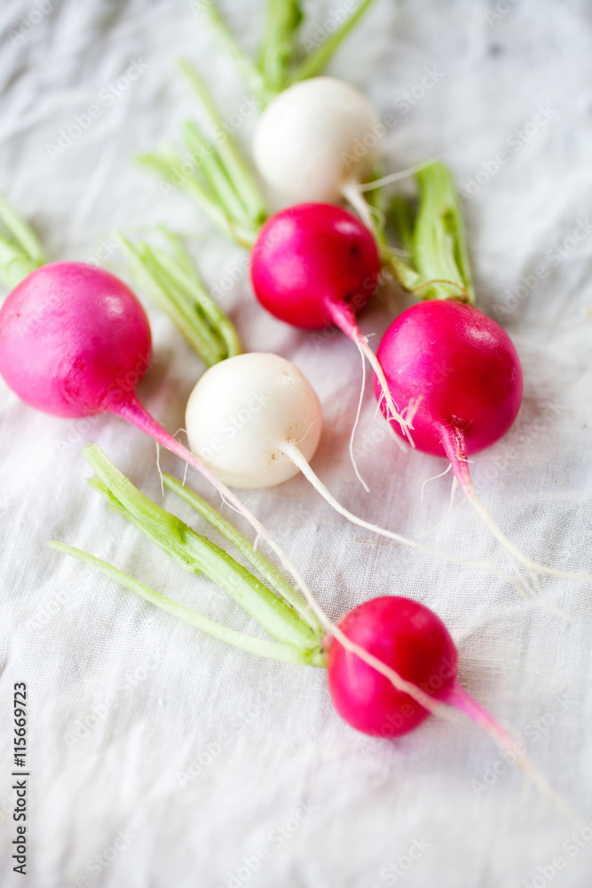 Fresh radishes