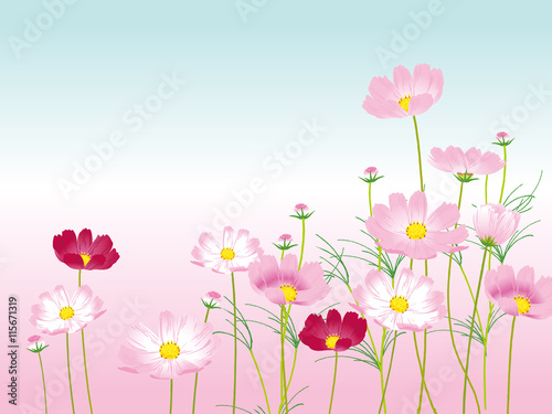 cosmos background