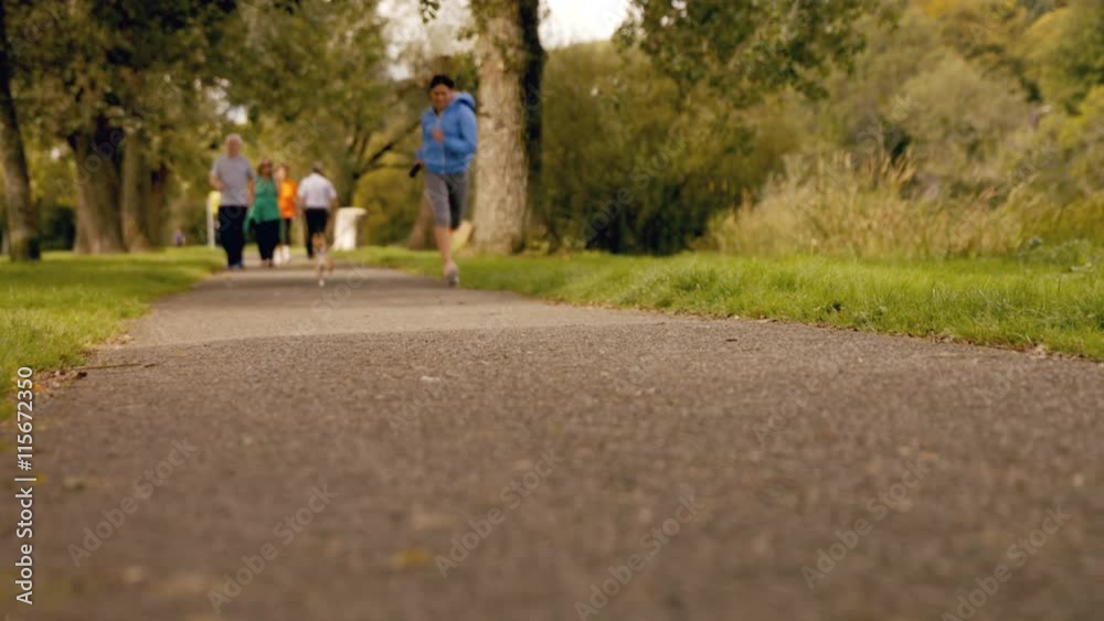 Pretty brunette jogging in park with dog Pretty brunette jogging in park with dog