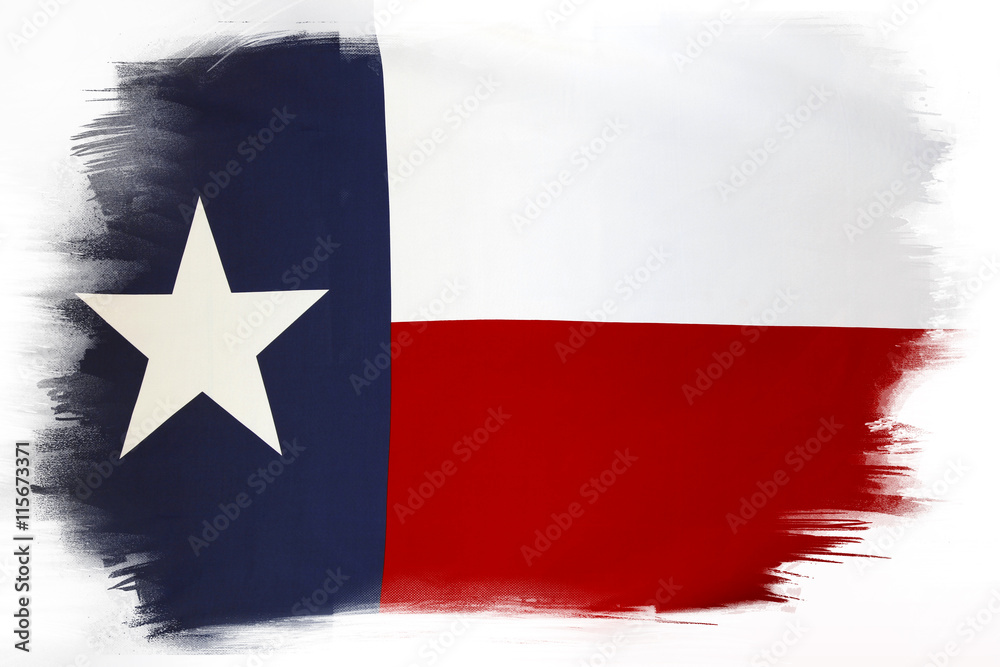 Fototapeta premium Texas flag