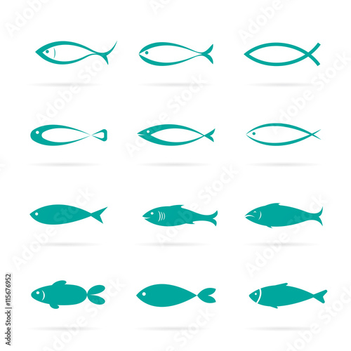 Set of vector fish icons on white background, Vector fish icons