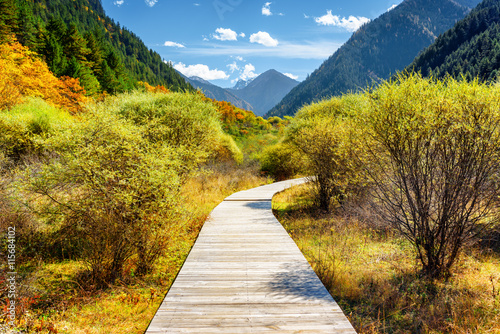 Wooden boardwalk across autumn forest among mountains © efired